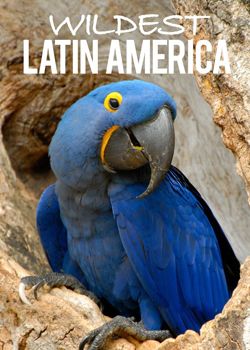 Таємнича Латинська Америка